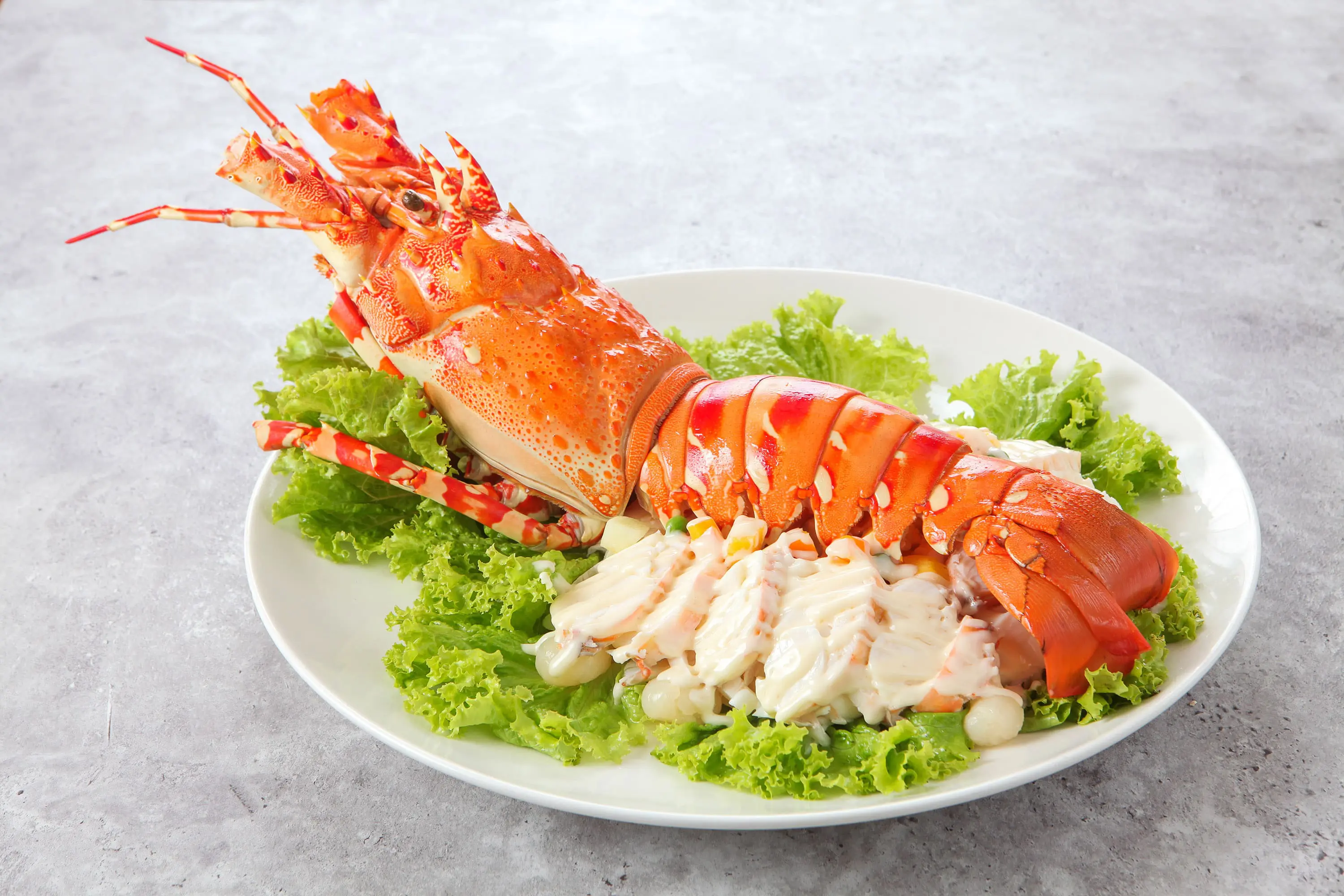 /assets/photos/food/food-lobster.webp